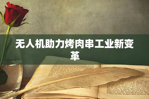 无人机助力烤肉串工业新变革