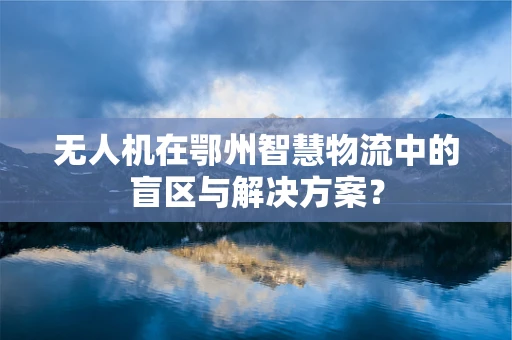 无人机在鄂州智慧物流中的盲区与解决方案？