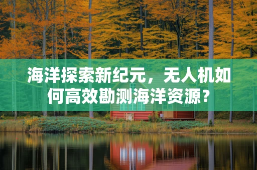 海洋探索新纪元，无人机如何高效勘测海洋资源？