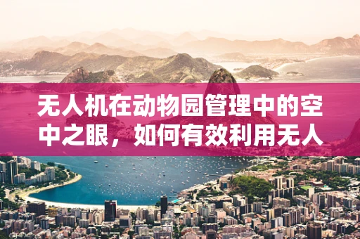无人机在动物园管理中的空中之眼，如何有效利用无人机技术提升动物园园长决策效率？