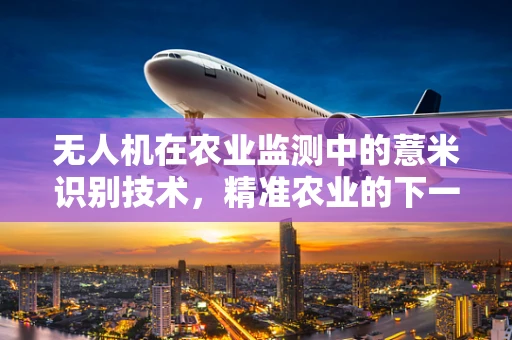 无人机在农业监测中的薏米识别技术，精准农业的下一步？