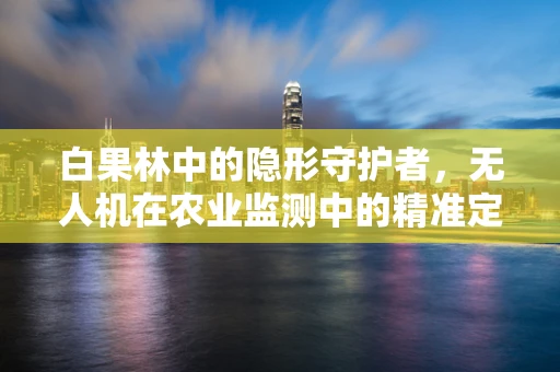 白果林中的隐形守护者，无人机在农业监测中的精准定位挑战