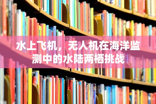 水上飞机，无人机在海洋监测中的水陆两栖挑战