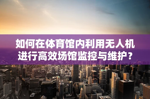 如何在体育馆内利用无人机进行高效场馆监控与维护？