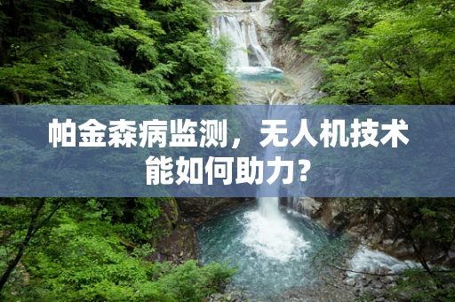 帕金森病监测，无人机技术能如何助力？