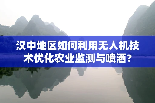 汉中地区如何利用无人机技术优化农业监测与喷洒？