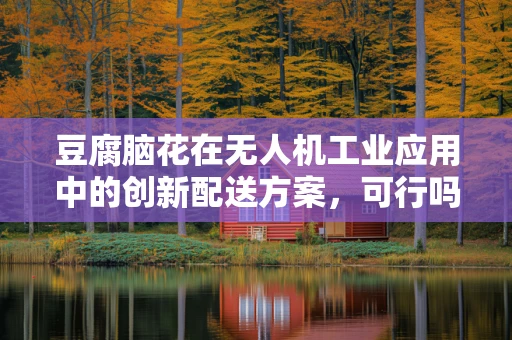 豆腐脑花在无人机工业应用中的创新配送方案，可行吗？