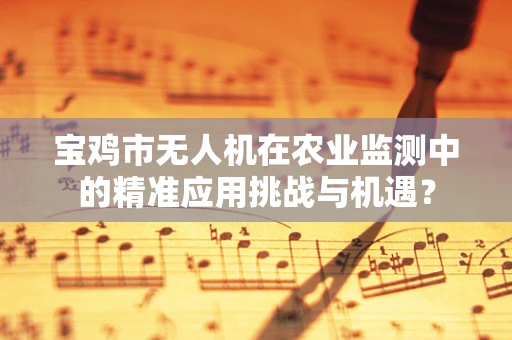 宝鸡市无人机在农业监测中的精准应用挑战与机遇？