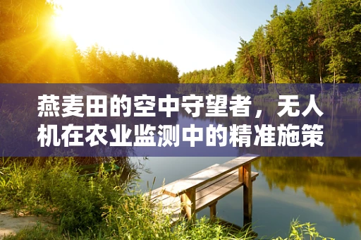燕麦田的空中守望者，无人机在农业监测中的精准施策挑战
