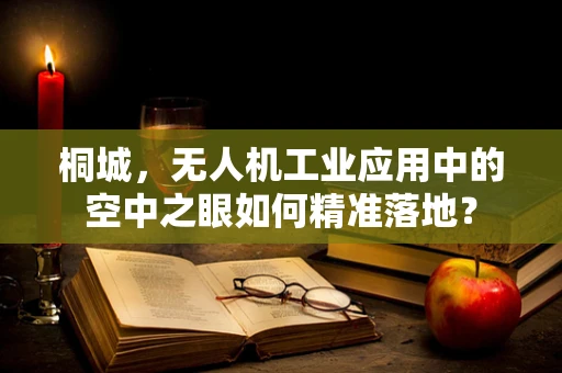 桐城，无人机工业应用中的空中之眼如何精准落地？
