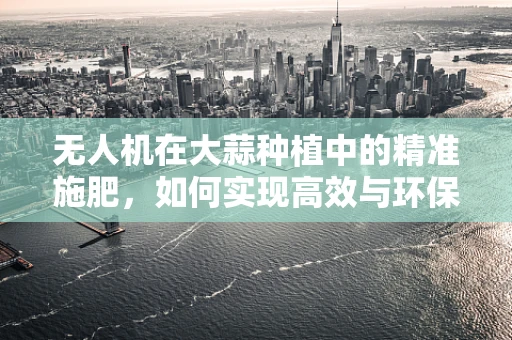 无人机在大蒜种植中的精准施肥，如何实现高效与环保的平衡？