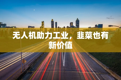 无人机助力工业，韭菜也有新价值