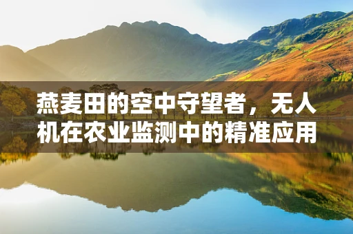 燕麦田的空中守望者，无人机在农业监测中的精准应用挑战