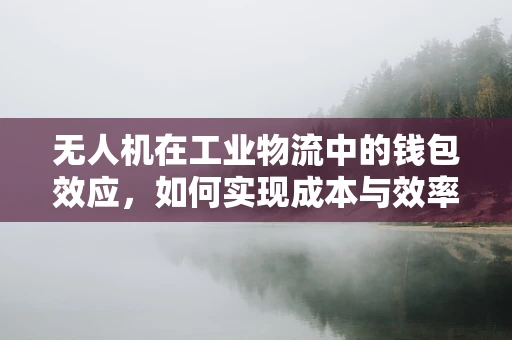 无人机在工业物流中的钱包效应，如何实现成本与效率的完美平衡？