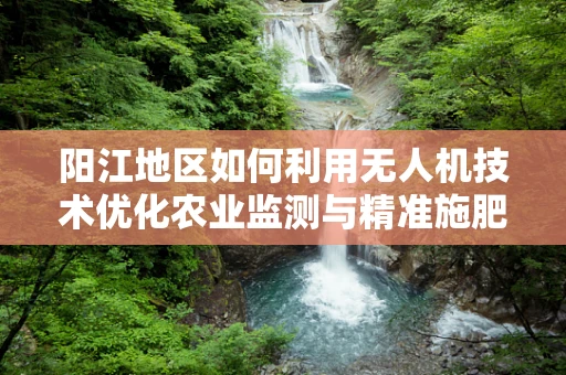 阳江地区如何利用无人机技术优化农业监测与精准施肥？