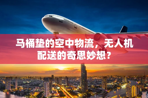 马桶垫的空中物流，无人机配送的奇思妙想？