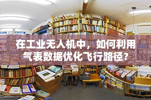 在工业无人机中，如何利用气表数据优化飞行路径？