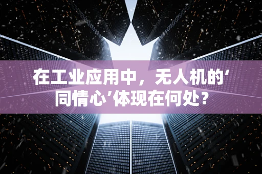 在工业应用中，无人机的‘同情心’体现在何处？