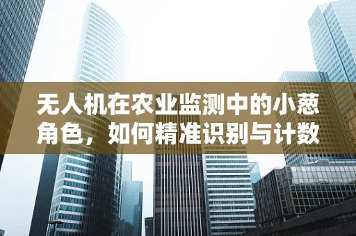 无人机在农业监测中的小葱角色，如何精准识别与计数？