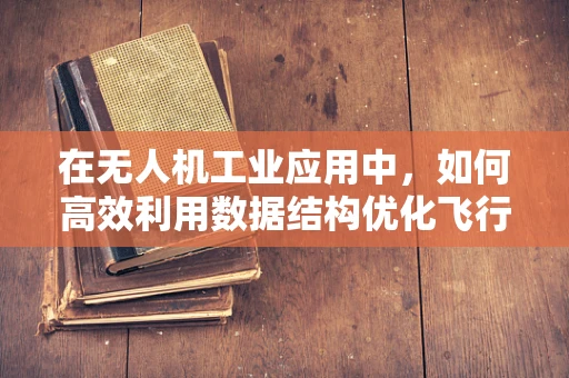 在无人机工业应用中，如何高效利用数据结构优化飞行路径规划？