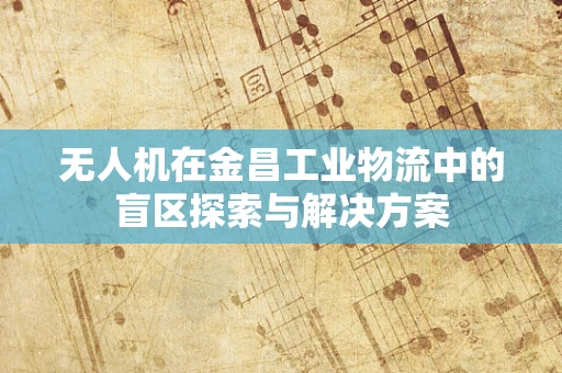 无人机在金昌工业物流中的盲区探索与解决方案