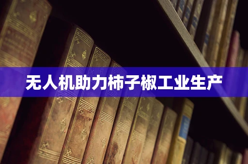 无人机助力柿子椒工业生产