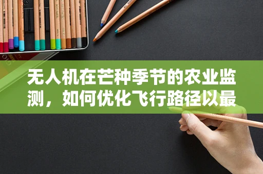 无人机在芒种季节的农业监测，如何优化飞行路径以最大化作物监测效率？