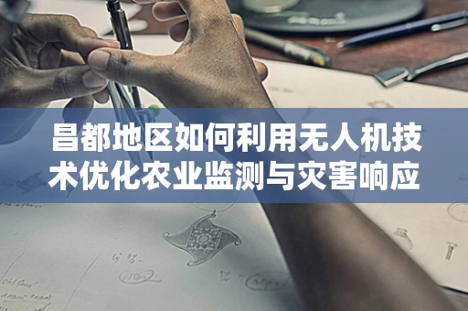 昌都地区如何利用无人机技术优化农业监测与灾害响应？