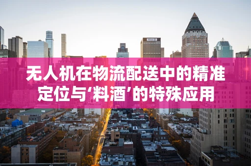 无人机在物流配送中的精准定位与‘料酒’的特殊应用