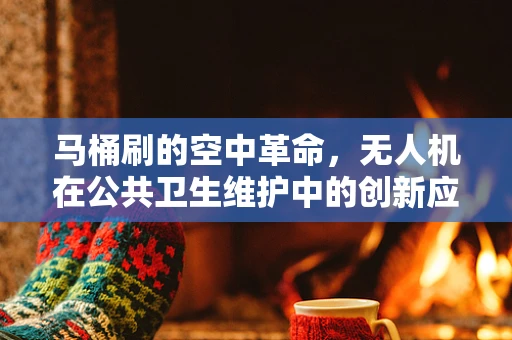 马桶刷的空中革命，无人机在公共卫生维护中的创新应用？