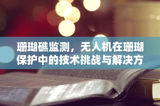 珊瑚礁监测，无人机在珊瑚保护中的技术挑战与解决方案