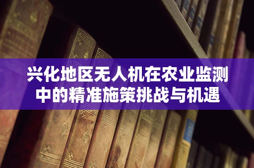 兴化地区无人机在农业监测中的精准施策挑战与机遇