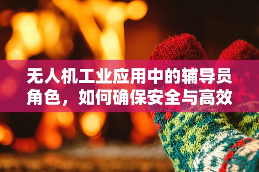 无人机工业应用中的辅导员角色，如何确保安全与高效？