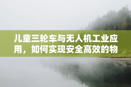 儿童三轮车与无人机工业应用，如何实现安全高效的物流配送？