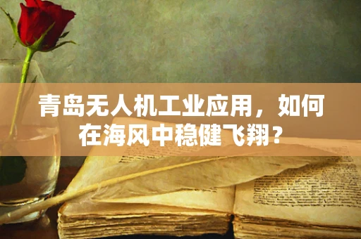 青岛无人机工业应用，如何在海风中稳健飞翔？