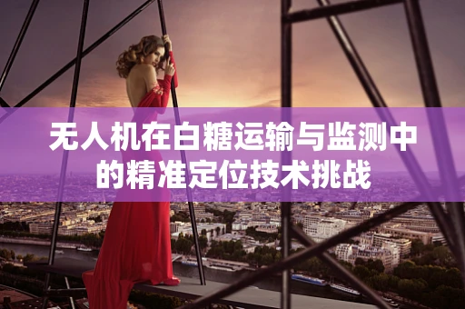 无人机在白糖运输与监测中的精准定位技术挑战