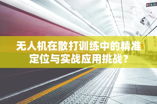 无人机在散打训练中的精准定位与实战应用挑战？