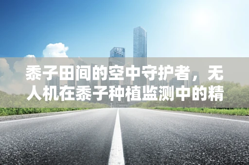 黍子田间的空中守护者，无人机在黍子种植监测中的精准应用挑战