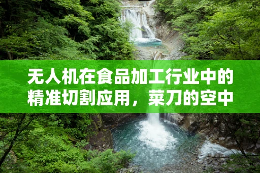 无人机在食品加工行业中的精准切割应用，菜刀的空中替代者？