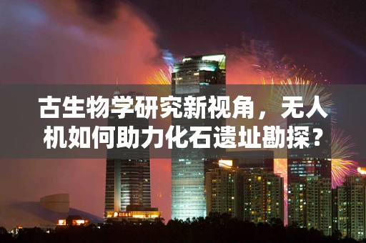 古生物学研究新视角，无人机如何助力化石遗址勘探？