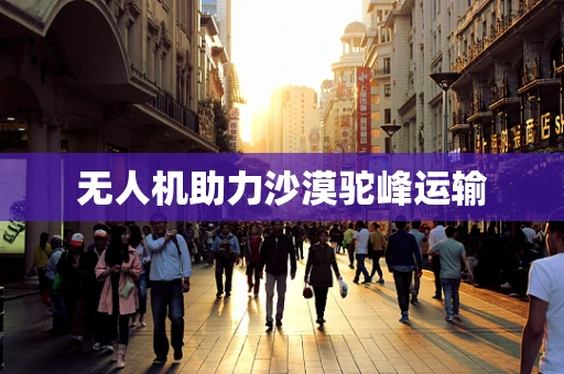 无人机助力沙漠驼峰运输