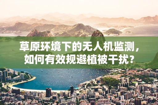 草原环境下的无人机监测，如何有效规避植被干扰？