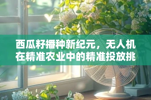 西瓜籽播种新纪元，无人机在精准农业中的精准投放挑战
