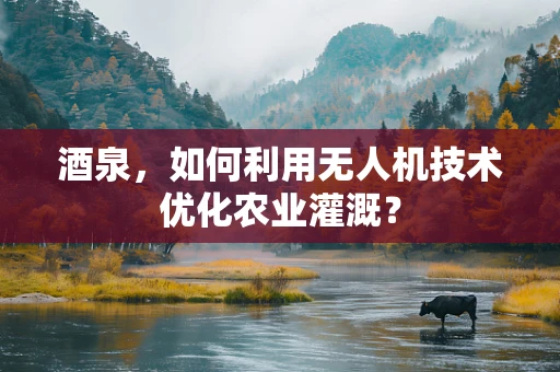 酒泉，如何利用无人机技术优化农业灌溉？