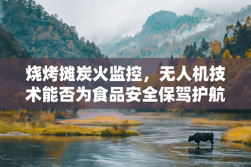 烧烤摊炭火监控，无人机技术能否为食品安全保驾护航？