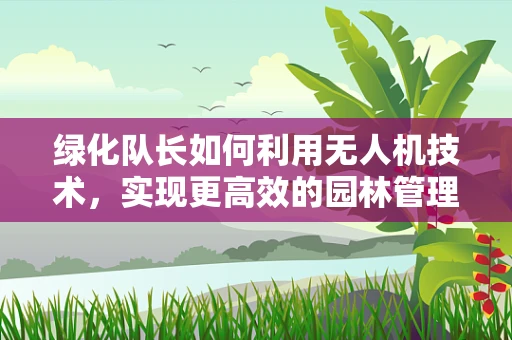 绿化队长如何利用无人机技术，实现更高效的园林管理？