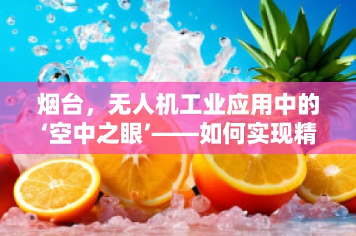 烟台，无人机工业应用中的‘空中之眼’——如何实现精准农业监测的挑战与机遇？