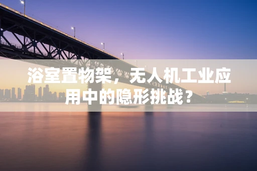 浴室置物架，无人机工业应用中的隐形挑战？