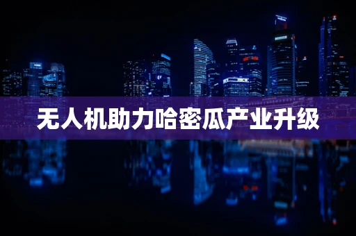 无人机助力哈密瓜产业升级