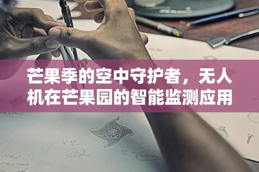 芒果季的空中守护者，无人机在芒果园的智能监测应用如何实现精准管理？